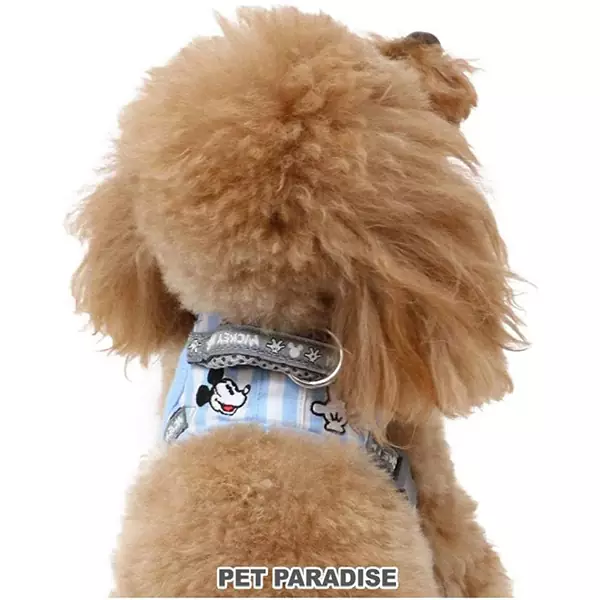 Dog Harness Pet Paradise Disney Mickey Mouse Gentle Harness SS~S [Small Dogs