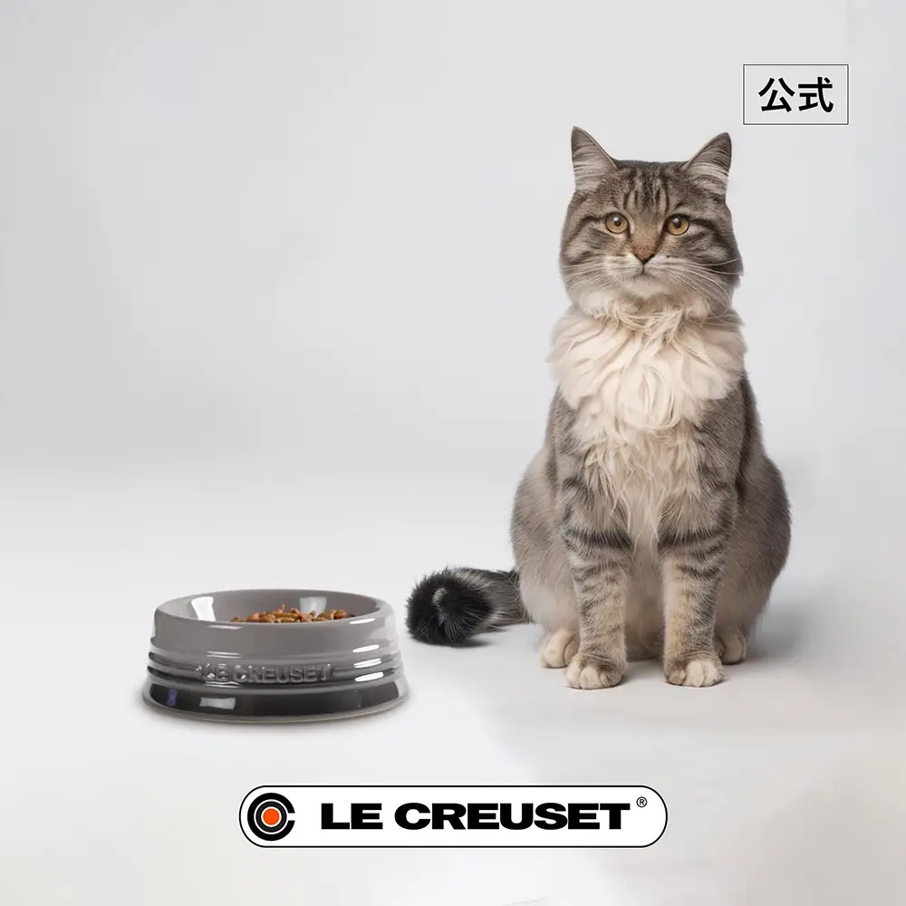 Le Creuset Pet Bowl S Ceramic Dog Cat Food & Water Bowl Le Creuset Pet Bowl S Ceramic Dog Cat Food & Water Bowl